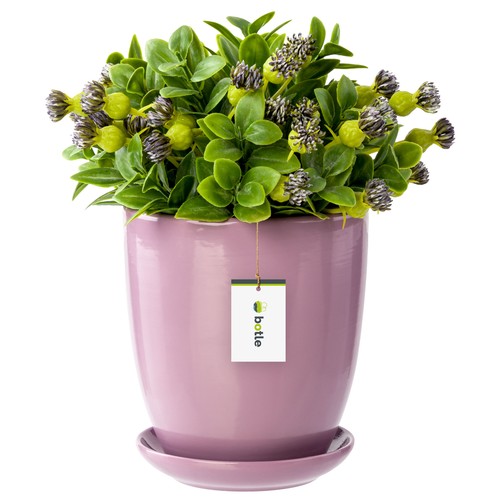 Pot fleur rose avec - pot, de
