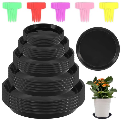 Pièces coupelle pot - 25,