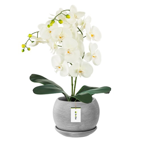 Pot fleur gris - pot, foncé