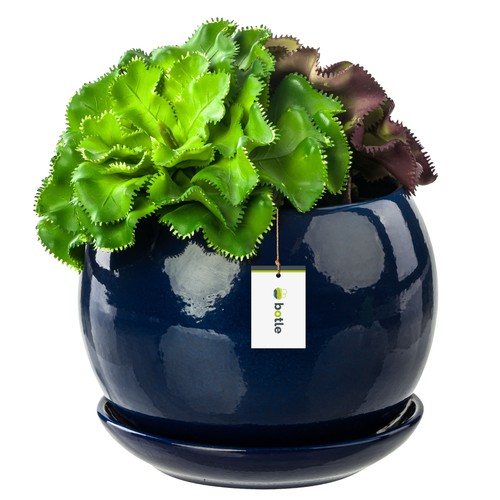Pot fleur bleu foncé - fleur,