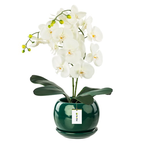 Pot fleur bouteille verte - fleur,