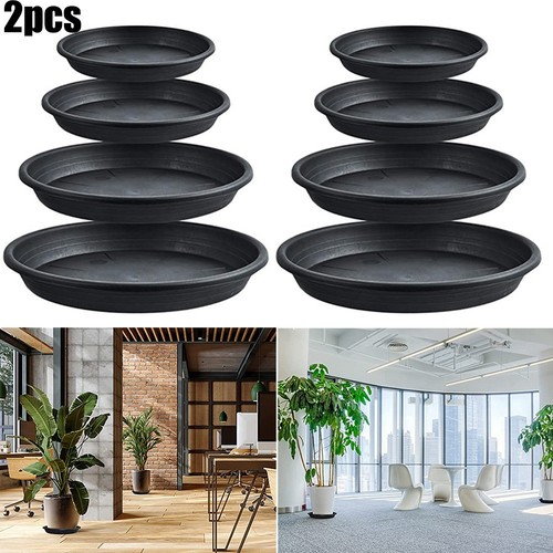 Rond fleur plante - rond,