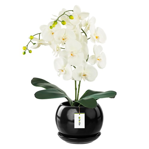 Pot fleur noir avec - de,